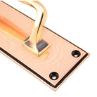 Polished Bronze 300mm Art Deco Pull Handle on Backplate | From The Anvil-On Backplate-Yester Home