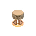 Polished Bronze Brompton Cabinet Knob - 25mm (Plain) | From The Anvil - Cabinet Knobs - From The Anvil - Yester Home