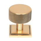 Polished Bronze Brompton Cabinet Knob - 32mm (Square) | From The Anvil - Cabinet Knobs - From The Anvil - Yester Home