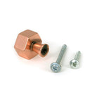 Polished Bronze Kahlo Cabinet Knob - 25mm - Cabinet Knobs - From The Anvil - Yester Home