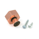 Polished Bronze Kahlo Cabinet Knob - 38mm - Cabinet Knobs - From The Anvil - Yester Home