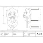Polished Bronze Lion Head Door Knocker | From The Anvil-Bolt-Through Door Knockers-Yester Home