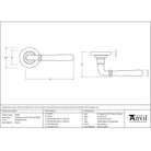 Polished Bronze Newbury Lever on Rose Set (Plain) | From The Anvil - Concealed - From The Anvil - Yester Home