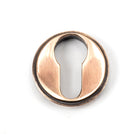 Polished Bronze Round Euro Escutcheon (Plain) | From The Anvil-Euro Escutcheons-Yester Home