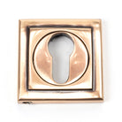 Polished Bronze Round Euro Escutcheon (Square) | From The Anvil-Euro Escutcheons-Yester Home