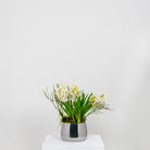 Polished Marine SS (316) 12.5cm Hepworth Pot | From The Anvil - Plant Pots - From The Anvil - Yester Home