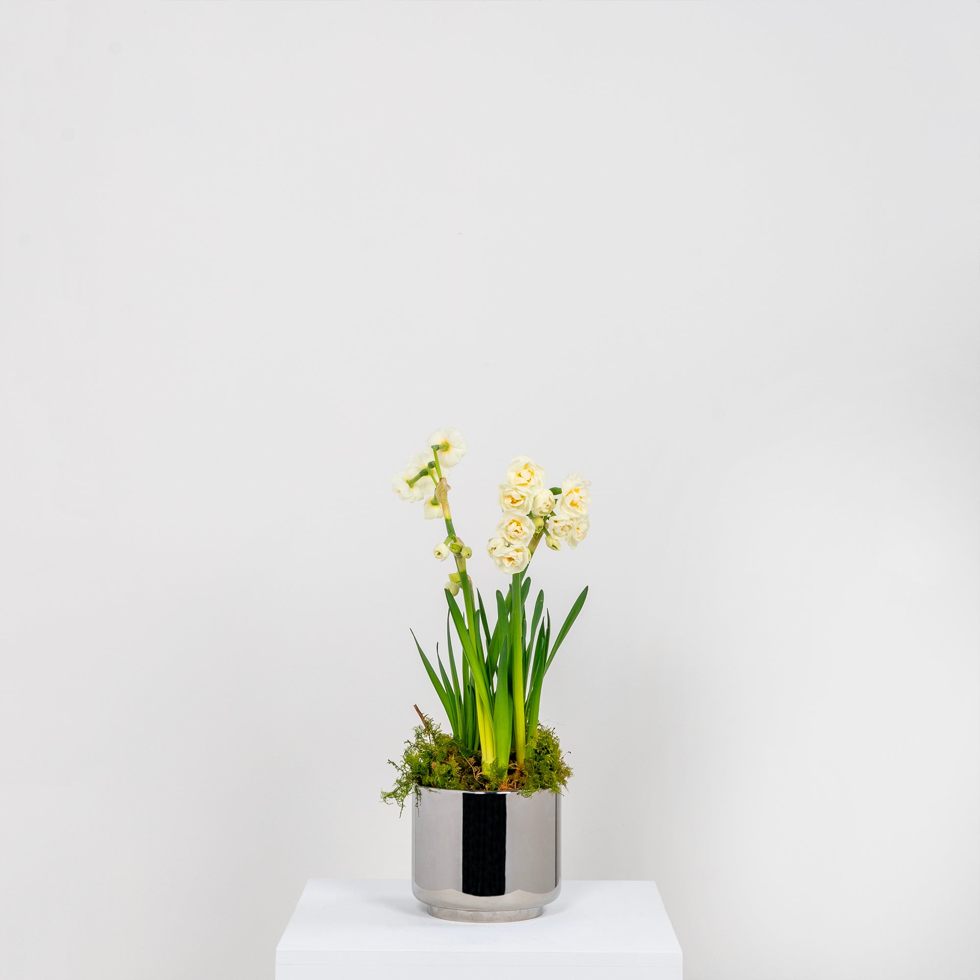 Polished Marine SS (316) 12.5cm Newlyn Pot | From The Anvil - Plant Pots - From The Anvil - Yester Home