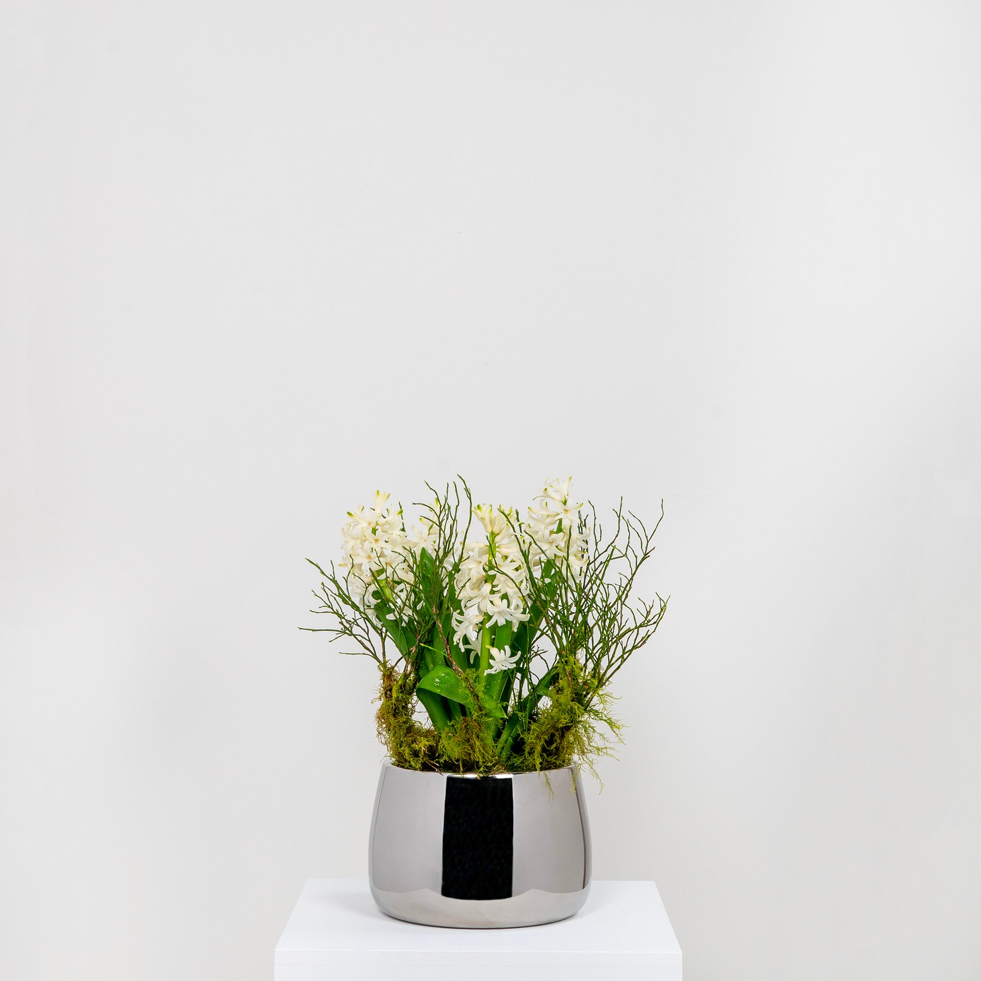 Polished Marine SS (316) 16cm Hepworth Pot | From The Anvil - Plant Pots - From The Anvil - Yester Home