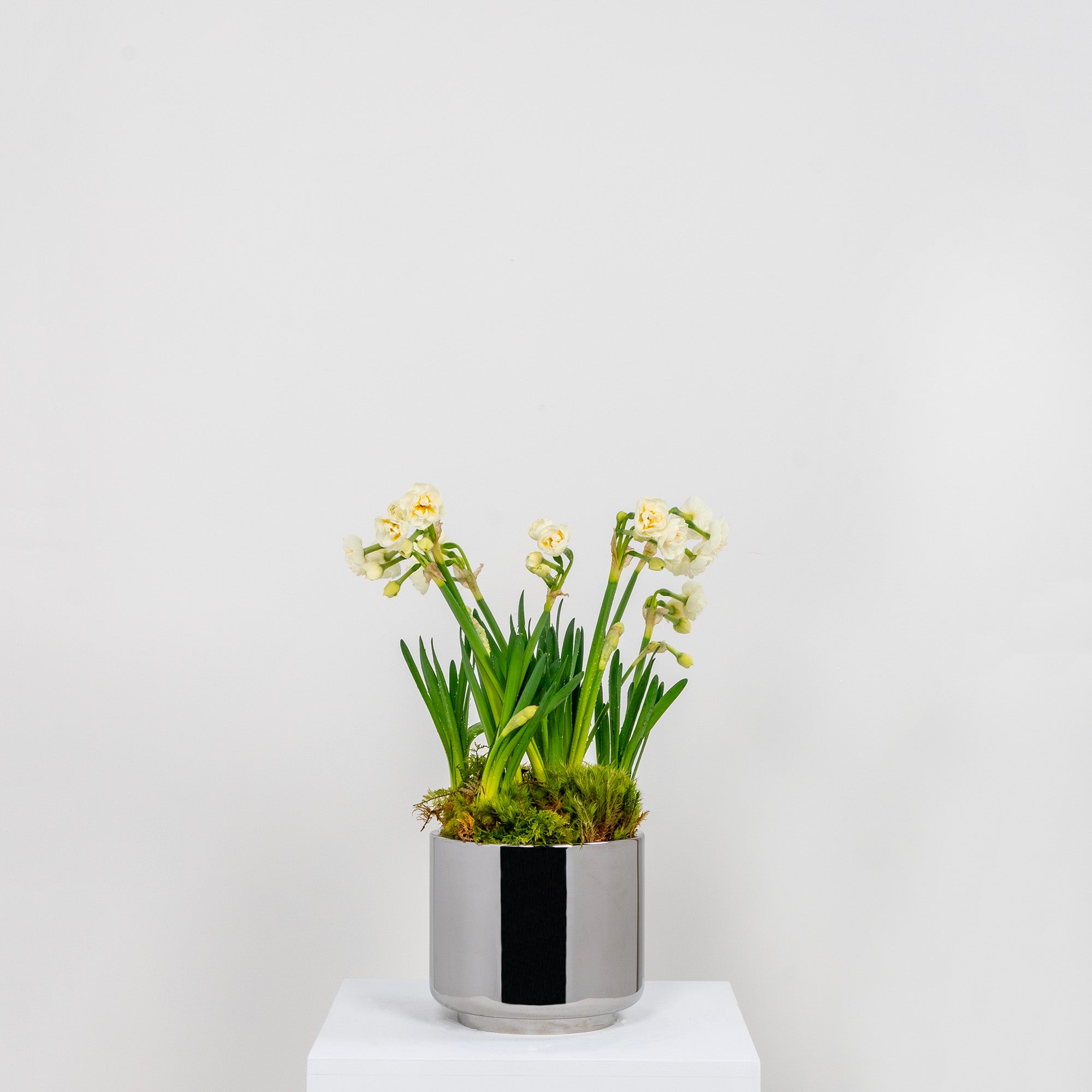 Polished Marine SS (316) 16cm Newlyn Pot | From The Anvil - Plant Pots - From The Anvil - Yester Home
