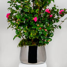 Polished Marine SS (316) 28cm Hepworth Pot | From The Anvil - Plant Pots - From The Anvil - Yester Home