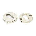 Polished Nickel 52mm Regency Concealed Escutcheon | From The Anvil-Euro Escutcheons-Yester Home
