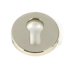 Polished Nickel 52mm Regency Concealed Escutcheon | From The Anvil - Euro Escutcheons - From The Anvil - Yester Home