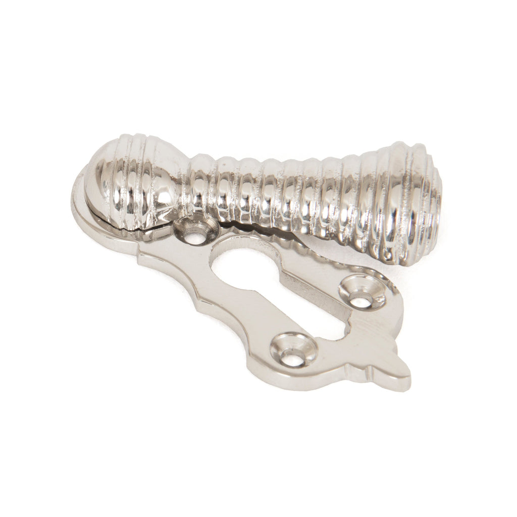 Polished Nickel Beehive Escutcheon | From The Anvil-Escutcheons-Yester Home