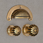 Reeded Cup Pull & Cabinet Knobs | Polished Brass-Cabinet Knobs-Yester Home