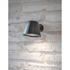 Regent Mast Light | Carbon - Wall Lights - Garden Trading - Yester Home