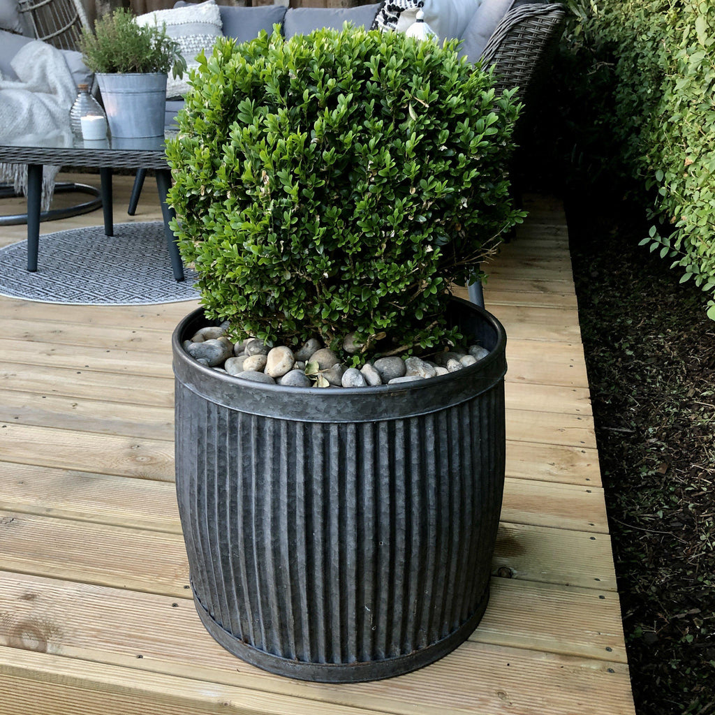 Round Metal Outdoor Dolly Tub Planters