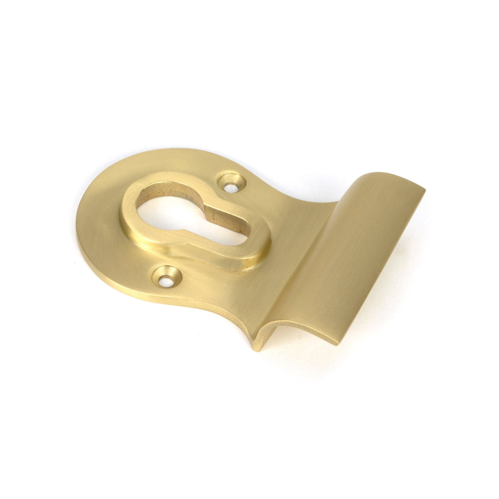 Satin Brass Euro Door Pull | From The Anvil