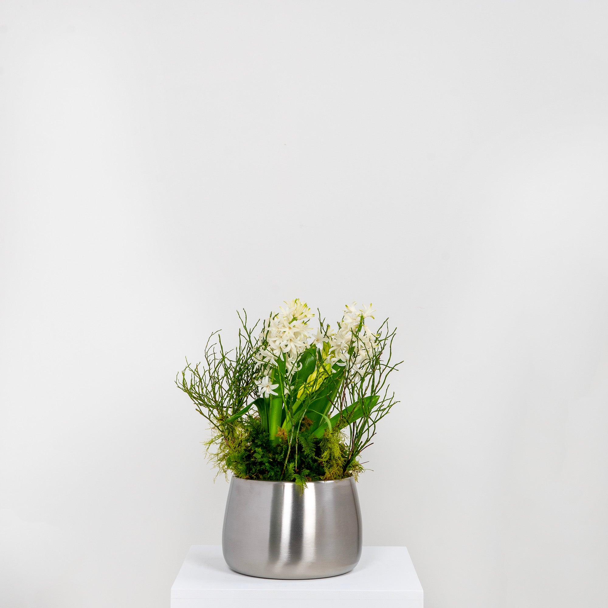 Satin Marine SS (316) 16cm Hepworth Pot | From The Anvil - Plant Pots - From The Anvil - Yester Home