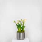 Satin Marine SS (316) 16cm Newlyn Pot | From The Anvil - Plant Pots - From The Anvil - Yester Home