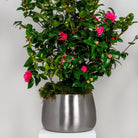 Satin Marine SS (316) 28cm Hepworth Pot | From The Anvil - Plant Pots - From The Anvil - Yester Home