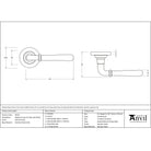 Satin Marine SS (316) Newbury Lever on Rose Set (Plain) | From The Anvil-Concealed-Yester Home