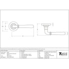 Satin Marine SS (316) Newbury Lever on Rose Set (Plain) - Unsprung | From The Anvil-Concealed-Yester Home
