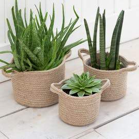 Set of 3 Woven Plant Pots-Plant Pots-Yester Home