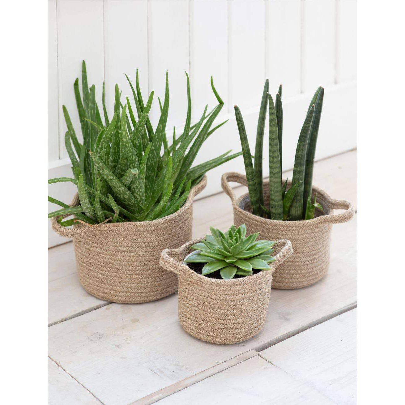 Set of 3 Woven Plant Pots-Plant Pots-Yester Home