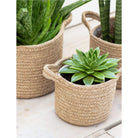 Set of 3 Woven Plant Pots-Plant Pots-Yester Home