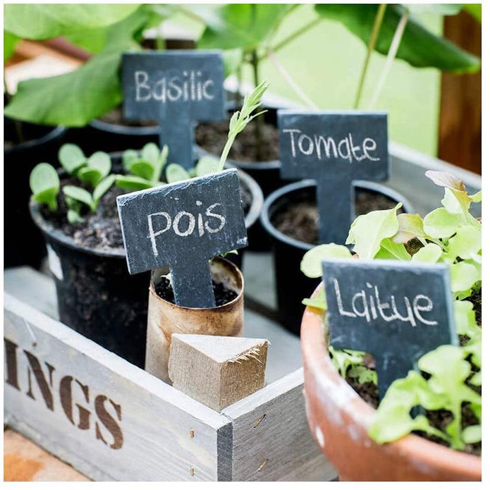 Set of 6 Greenhouse Tags with Chalk - Slate