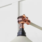 Smooth Copper Flora Wall Light in Teasel | From The Anvil-Wall Lights-Yester Home