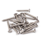 Stainless Steel 6x1" Countersunk Raised Head Screws (25) | From The Anvil - Screws & Bolts - From The Anvil - Yester Home