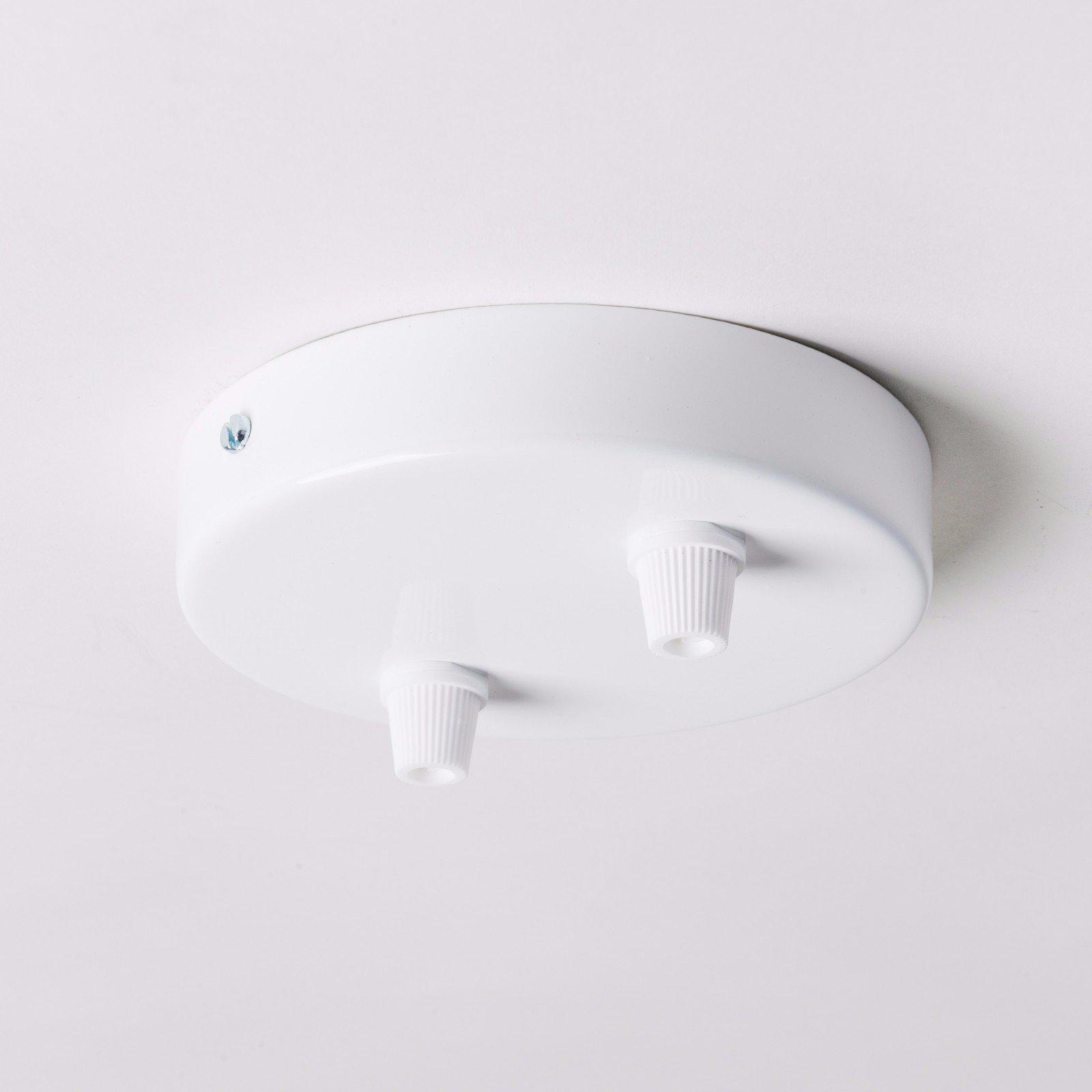 White Steel 100mm Ceiling Rose - All Outlet Options-Ceiling Rose-Yester Home