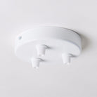 White Steel 100mm Ceiling Rose - All Outlet Options-Ceiling Rose-Yester Home